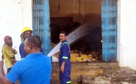 उतई की राइस मिल में भीषण आग, 5 घंटे की मशक्कत के बाद पाया काबू