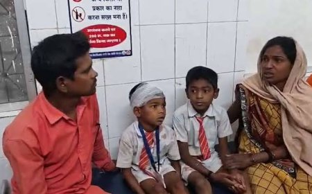 ट्रैक्टर से टकराकर पलटी स्कूल वैन, 15 बच्चों समेत शिक्षिका और प्रिंसिपल घायल,