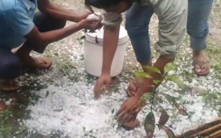 छत्तीसगढ़ में अगले 3 दिन बारिश और ओलावृष्टि की चेतावनी, कुछ इलाकों में येलो-ऑरेंज अलर्ट जारी