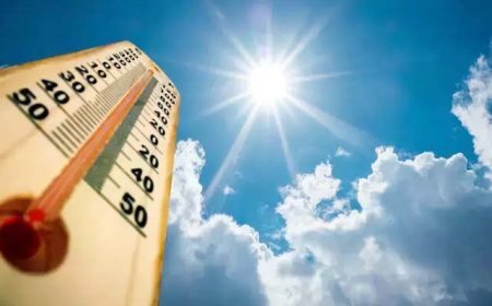 प्रदेश में गर्मी ने दिखाए तेवर, अगले 72 घंटे में तेजी से बढ़ेगा तापमान