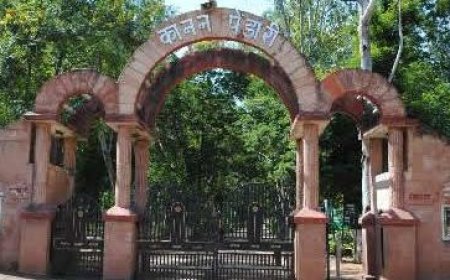 बर्ड फ्लू का बढ़ा खतरा! कानन-पेंडारी जू एक हफ्ते के लिए बंद, प्रशासन अलर्ट मोड जारी…