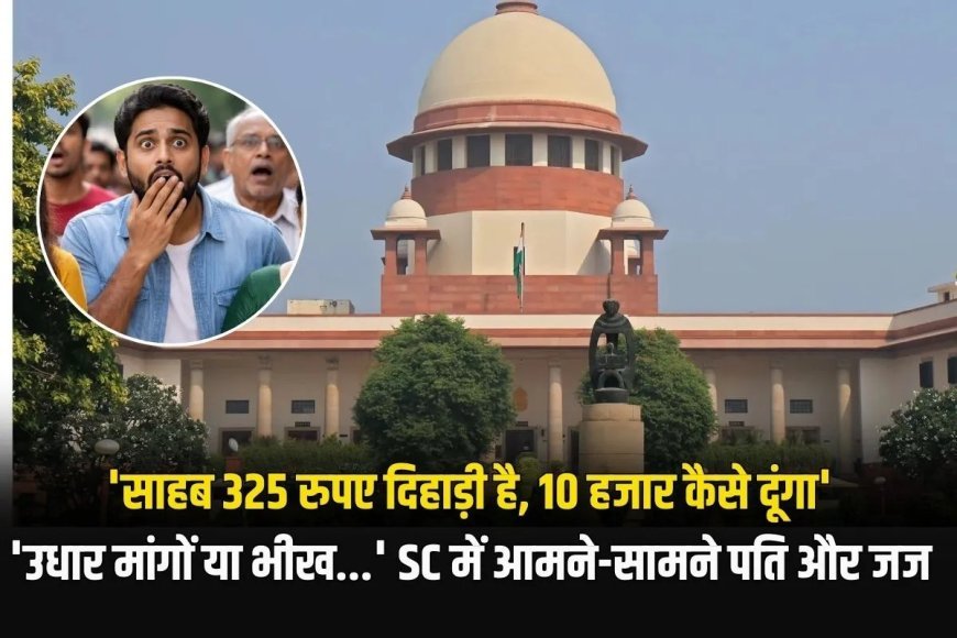 कम सैलरी का दावा नहीं चला, भरण-पोषण पर सुप्रीम कोर्ट का सख्त रुख