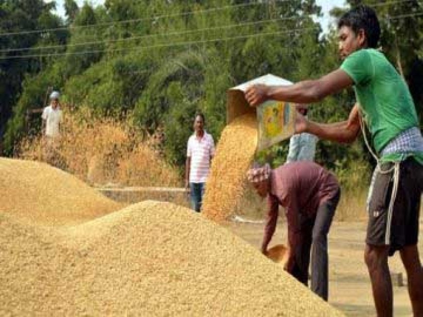 धान खरीदी पर सरकार-विपक्ष आमने-सामने, सदन से बाहर निकला विपक्ष