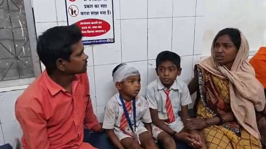 ट्रैक्टर से टकराकर पलटी स्कूल वैन, 15 बच्चों समेत शिक्षिका और प्रिंसिपल घायल,