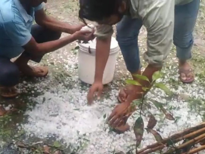 छत्तीसगढ़ में अगले 3 दिन बारिश और ओलावृष्टि की चेतावनी, कुछ इलाकों में येलो-ऑरेंज अलर्ट जारी