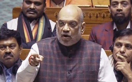 लोकसभा में अमित शाह की हुंकार, ये नरेंद्र मोदी की सरकार है, जो हथियार उठाएगा, उसका हिसाब चुकता होगा
