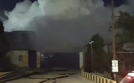 भिलाई की केमिकल फैक्ट्री में पाइपलाइन फटी, जहरीले धुएं से 4 घंटे तक दहशत