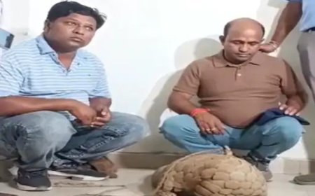 रायपुर में वन विभाग की बड़ी कार्रवाई: जिंदा पैंगोलिन के साथ दो तस्कर धराए