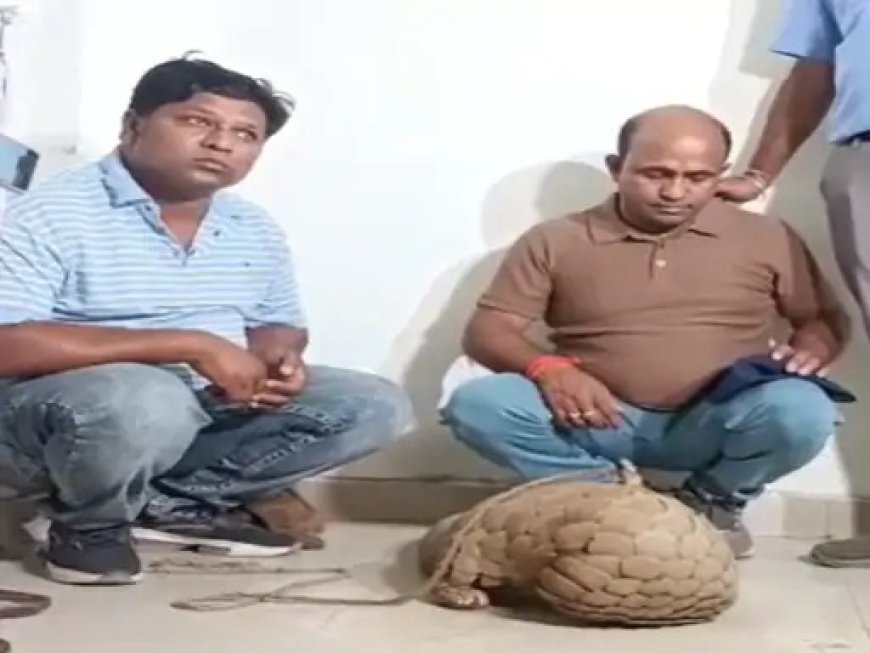 रायपुर में वन विभाग की बड़ी कार्रवाई: जिंदा पैंगोलिन के साथ दो तस्कर धराए