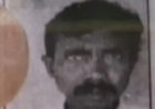 मधुमक्खियों के हमले से बुजुर्ग मजदूर की मौत, छत्ता गिरते ही मचा हड़कंप