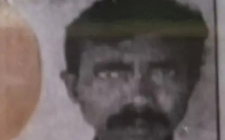 मधुमक्खियों के हमले से बुजुर्ग मजदूर की मौत, छत्ता गिरते ही मचा हड़कंप