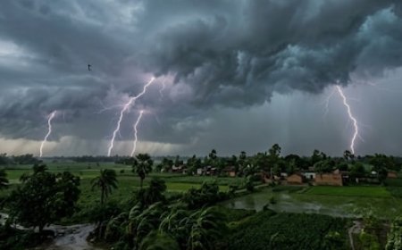 छत्तीसगढ़ में बदला मौसम: अगले 5 दिन आंधी-बारिश के आसार, बिजली गिरने की चेतावनी
