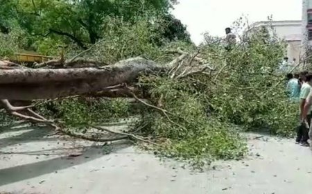 देश में मौसम का डबल अटैक: यूपी में तूफान से 94 मौतें, राजस्थान-MP में भीषण गर्मी का कहर