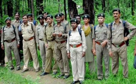 छत्तीसगढ़ में सरकारी नौकरी, 1484 पदों पर होगी वनरक्षकों की भर्ती, जानें कब जारी होगी परीक्षा की तारीख