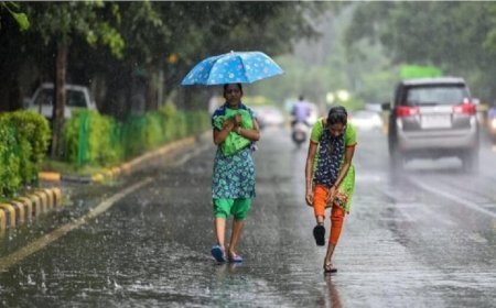 रायपुर समेत कई जिलों में झमाझम बारिश, तापमान में आई गिरावट, लोगों को मिली राहत