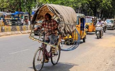 देश में भीषण गर्मी का कहर: अमरावती-वर्धा में पारा 46°C पार, जानवरों को बचाने जू में AC और बर्फ का सहारा