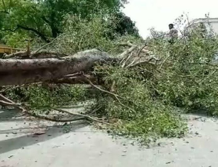 देश में मौसम का डबल अटैक: यूपी में तूफान से 94 मौतें, राजस्थान-MP में भीषण गर्मी का कहर