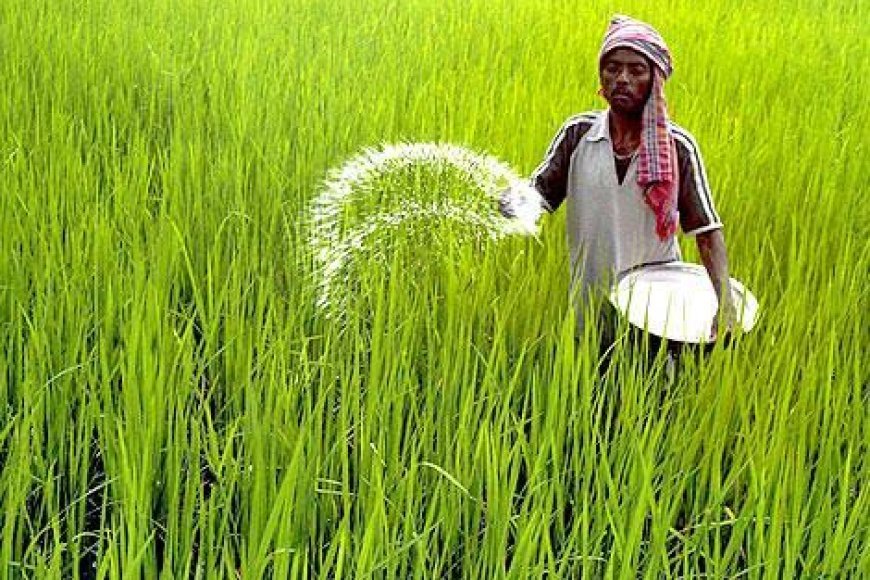 खेती में बदलाव की नई लहर! किसानों की पहली पसंद बने नैनो यूरिया और नैनो डीएपी,