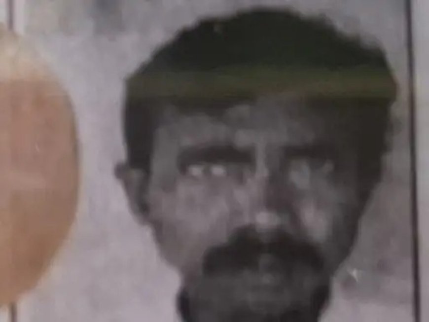 मधुमक्खियों के हमले से बुजुर्ग मजदूर की मौत, छत्ता गिरते ही मचा हड़कंप
