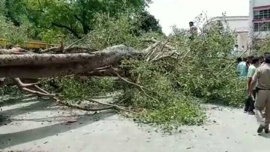 देश में मौसम का डबल अटैक: यूपी में तूफान से 94 मौतें, राजस्थान-MP में भीषण गर्मी का कहर