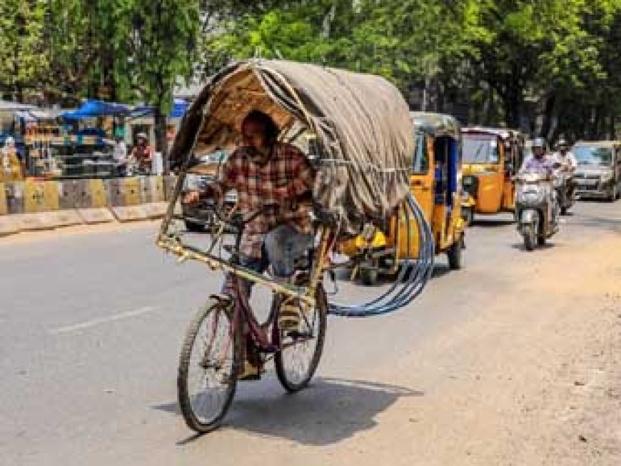 देश में भीषण गर्मी का कहर: अमरावती-वर्धा में पारा 46°C पार, जानवरों को बचाने जू में AC और बर्फ का सहारा