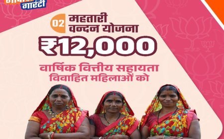 महतारी वंदन योजना की 28वीं किस्त जारी, 68.54 लाख महिलाओं के खातों में ट्रांसफर हुए 642.27 करोड़ रुपये, जल्दी करें चेक