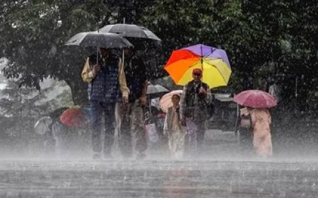 छत्तीसगढ़ में बदलेगा मौसम का मिजाज, तेज हवाओं के साथ बारिश के आसार