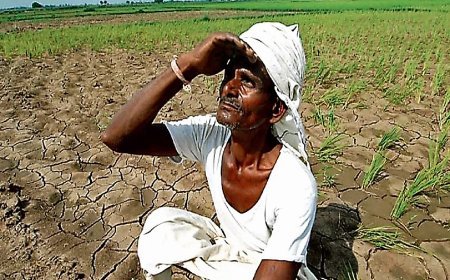 11 जून से बढ़ेगी बारिश की गतिविधियां, पर्यावरणीय बदलाव से गायब हुई लोकल बारिश, किसानों की चिंता बढ़ी