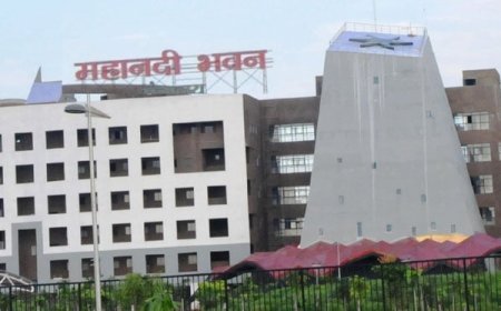 छत्तीसगढ़ में अनुकंपा नियुक्तियों पर जल्द मिलेगी नौकरी, नगरीय प्रशासन विभाग हुई सख्त, लंबित मामलों की मांगी रिपोर्ट