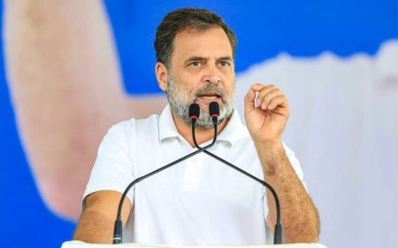 करीब 3 साल बाद छत्तीसगढ़ आएंगे Rahul Gandhi, 41 जिलाध्यक्षों और कार्यकर्ताओं को करेंगे संबोधित