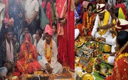 नक्सलियों की पाबंदियों से आजादी, बस्तर में फिर से बस रहे परिवार, जागी पिता बनने की उम्मीद