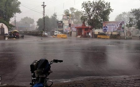 24 दिनों बाद छत्तीसगढ़ में मानसून दस्तक, अगले 5 दिनों तक अंधड़ के साथ होगी बारिश