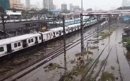 मानसून ने MP में दी दस्तक, 9 दिन की देरी के बाद पहुंचा; अगले 4 दिन में पूरे प्रदेश में छाएगा