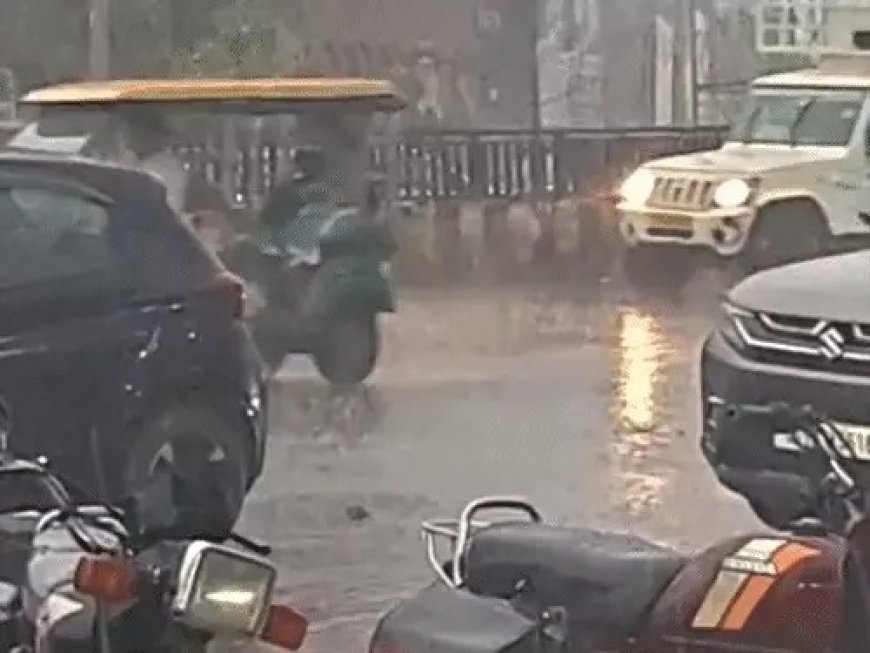 छत्तीसगढ़ में मानसून की दस्तक के संकेत, अगले 3-4 दिनों में पहुंच सकता है प्रदेश में बारिश का मौसम