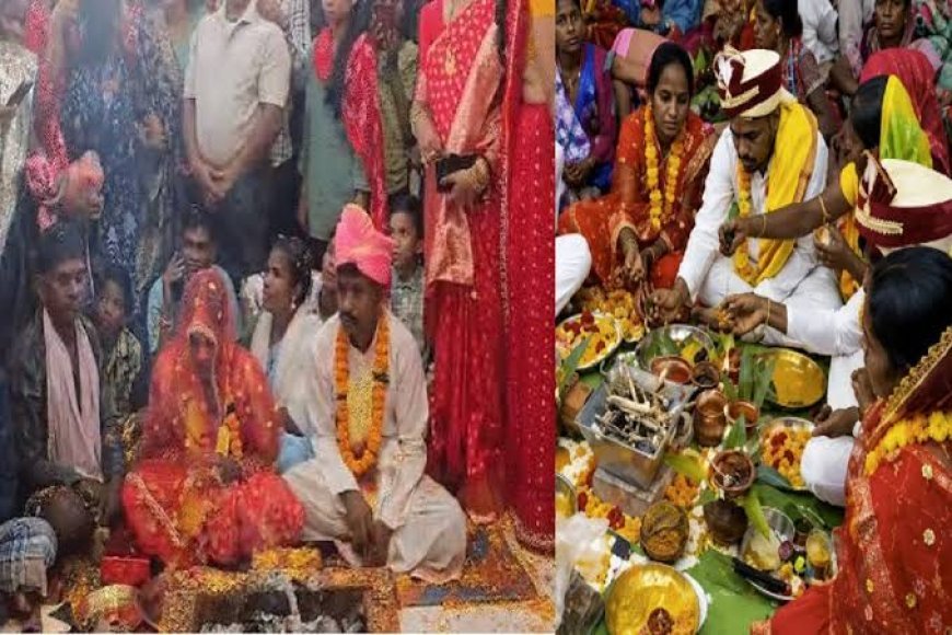 नक्सलियों की पाबंदियों से आजादी, बस्तर में फिर से बस रहे परिवार, जागी पिता बनने की उम्मीद