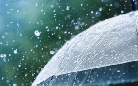 छत्तीसगढ़ में अगले 72 घंटे झमाझम बारिश के आसार, IMD ने जारी किया ताजा अपडेट