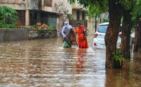 प्रदेश में मानसून हुआ सक्रिय, रायपुर में झमाझम बारिश से जनजीवन प्रभावित; तीन दिन भारी वर्षा की चेतावनी