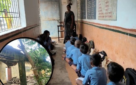 ये है सरकारी स्कूल की हकीकत! टपकती छत के नीचे पढ़ रहे मासूम, बालोद के इन स्कूलों की तस्वीरें चौंका देंगी