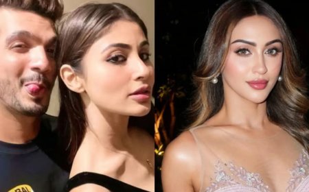 मौनी रॉय-अर्जुन बिजलानी की डेटिंग अफवाह पर क्रिस्टल डिसूजा का फूटा गुस्सा, बोलीं- ‘सिर्फ व्यूज के लिए कुछ भी?’