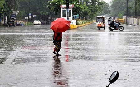 छत्तीसगढ़ में बंगाल की खाड़ी का असर! तेज बारिश से बदला मौसम का मिजाज, अगले 3 दिन तक बरसेंगे बादल