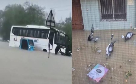 बिलासपुर में मूसलाधार बारिश से स्कूलों में छुट्टी, जांजगीर का बीडीएम मोहल्ला बना टापू, रायगढ़ में एक की मौत