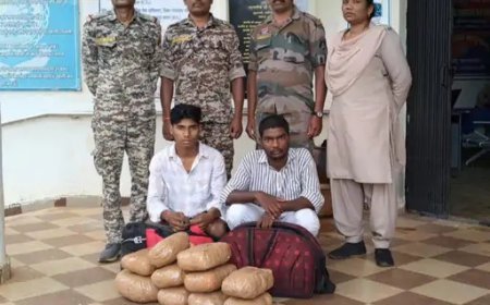 बस्तर में गांजा तस्करी पर पुलिस का वार, ओडिशा से रायपुर जा रही खेप जब्त