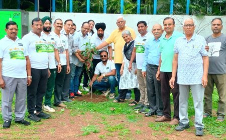 सियान सदन से गूंजा हरियाली का संदेश, ‘हर आंगन एक पेड़’ अभियान के तहत हुआ वृहद पौधारोपण