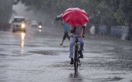 छत्तीसगढ़ में मानसूनी बारिश का मिला-जुला रूप: छत्तीसगढ़ के मध्य क्षेत्र में झमाझम तो बस्तर में आस