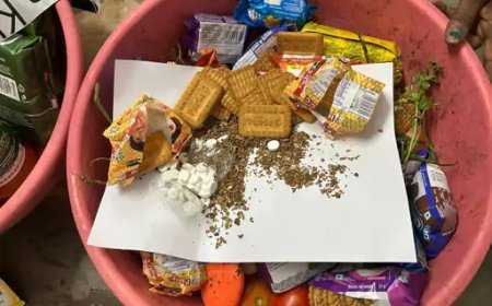 रायपुर सेंट्रल जेल में सुरक्षा का सख्त पहरा: प्याज, बिस्किट और साबुन में छिपाकर नशीला सामान पहुंचाने की कोशिश नाकाम