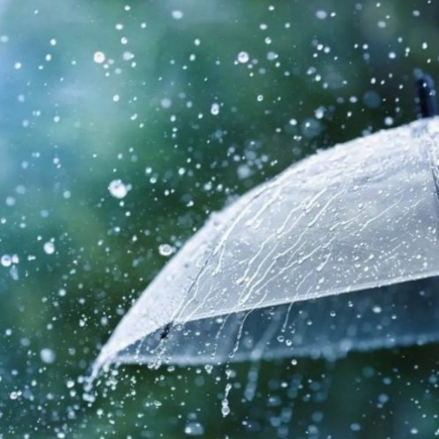 छत्तीसगढ़ में अगले 72 घंटे झमाझम बारिश के आसार, IMD ने जारी किया ताजा अपडेट