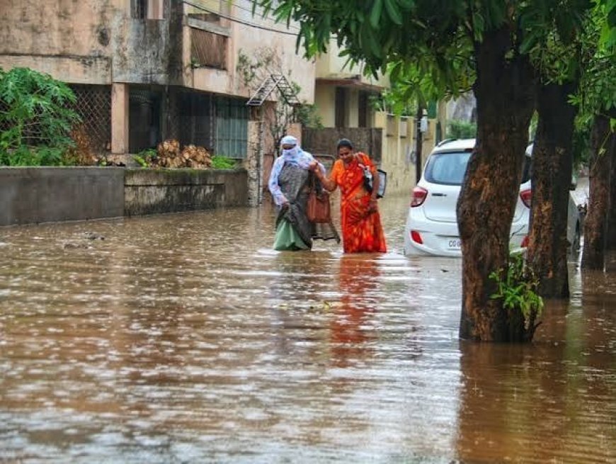प्रदेश में मानसून हुआ सक्रिय, रायपुर में झमाझम बारिश से जनजीवन प्रभावित; तीन दिन भारी वर्षा की चेतावनी
