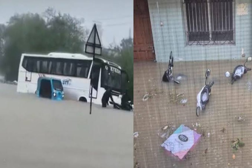 बिलासपुर में मूसलाधार बारिश से स्कूलों में छुट्टी, जांजगीर का बीडीएम मोहल्ला बना टापू, रायगढ़ में एक की मौत