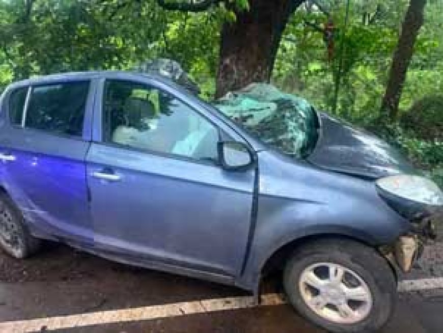 सेंट्रल एवेन्यू पर दर्दनाक हादसा: तेज रफ्तार कार पेड़ से टकराई, दो युवकों की मौत