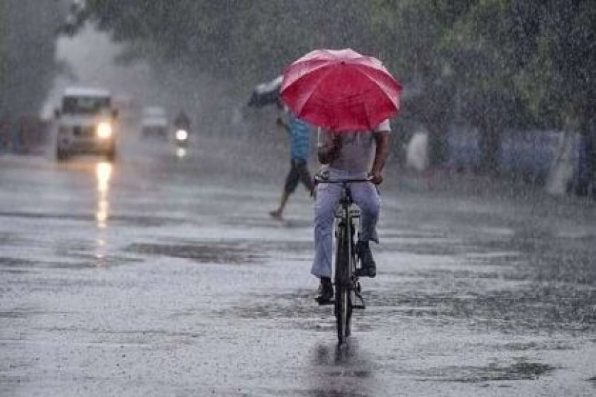 छत्तीसगढ़ में मानसूनी बारिश का मिला-जुला रूप: छत्तीसगढ़ के मध्य क्षेत्र में झमाझम तो बस्तर में आस
